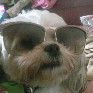 Meet your Posher, Nancy